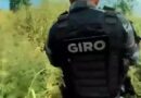 Giro encontra moto roubada escondida em área de mata na zona norte de Macapá; suspeito é identificado