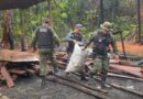 Batalhão Ambiental apreende 15 sacas de carvão e desmonta caieiras clandestinas na Fazendinha