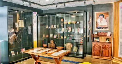 81 anos de história: Biblioteca Elcy Lacerda celebra aniversário com programação especial