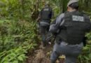 Foragido da Justiça é capturado pela PM após se esconder em área de mata, em Porto Grande; VÍDEO