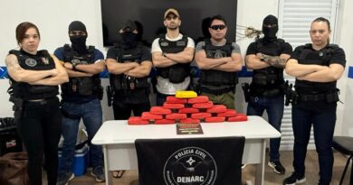 Denarc apreende 17 kg de drogas escondidos em área abandonada no Infraero; VÍDEO