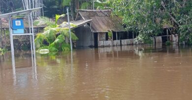 Chuvas elevam nível do rio Araguari e água invade comunidades e sede do ICMBio no interior do AP; VÍDEO