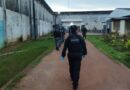 Denarc cumpre mandados no Iapen e apreende celulares usados por internos investigados por tráfico em Santana