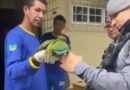1º BPM resgata papagaio ferido no pescoço e nas asas em via pública de Macapá; VÍDEO
