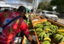 3ª Feira Tucuju da Agricultura Familiar reúne produtores, cultura e sabores da região em Macapá