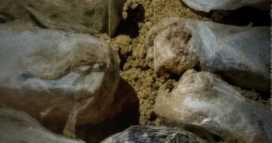 Justiça do Amapá condena homem flagrado com quase 4 kg de crack enterrados em casa