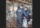 Denarc incinera cerca de 300 quilos de drogas apreendidas durante operações no Amapá Denarc incinera cerca de 300 quilos de drogas apreendidas durante operações no Amapá