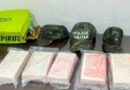 Batalhão Ambiental apreende cinco quilos de cocaína e madeira ilegal durante fiscalização na Rodovia AP-010