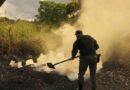 Após denúncias de fumaça, Batalhão Ambiental desmonta caieira irregular na zona oeste de Macapá; VÍDEO