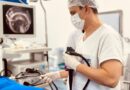 Hospital Alberto Lima realiza cirurgia inédita por endoscopia no SUS para retirar câncer de estômago
