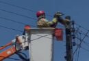 Tamanduá é resgatado do topo de poste na zona oeste de Macapá; VIDEO Tamanduá é resgatado do topo de poste na zona oeste de Macapá; VIDEO