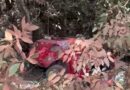 Acidente na BR-156 deixa uma pessoa morta e três gravemente feridas; VÍDEO