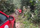 Bombeiros fazem buscas por quatro homens desaparecidos em área de mata em Tartarugalzinho; VÍDEO Bombeiros fazem buscas por quatro homens desaparecidos em área de mata em Tartarugalzinho; VÍDEO