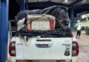 PRF apreende cargas de pescado com documentos fiscais adulterados em Oiapoque PRF apreende cargas de pescado com documentos fiscais adulterados em Oiapoque