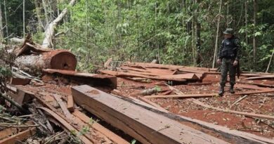 Batalhão Ambiental prende quatro homens por desmatamento e apreende motosserras e combustível em Mazagão Batalhão Ambiental prende quatro homens por desmatamento e apreende motosserras e combustível em Mazagão