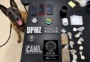 Cão farejador encontra drogas e materiais usados no tráfico durante operação em Mazagão Cão farejador encontra drogas e materiais usados no tráfico durante operação em Mazagão