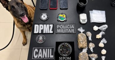 Cão farejador encontra drogas e materiais usados no tráfico durante operação em Mazagão Cão farejador encontra drogas e materiais usados no tráfico durante operação em Mazagão