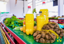 Câmara de Macapá aprova ampliação do Bolsa Aluguel para 44 empreendedores da Feira do Caranguejo
