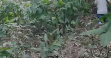 Jovem é encontrado morto em área de mata do Vale Verde Jovem é encontrado morto em área de mata do Vale Verde