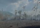 Bombeiros atuam contra incêndio em área de vegetação e afastam risco a casas em Vitória do Jari; VÍDEO Bombeiros atuam contra incêndio em área de vegetação e afastam risco a casas em Vitória do Jari; VÍDEO