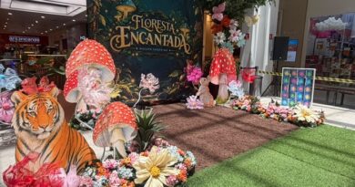 ‘Floresta Encantada’ reúne oficinas, teatro e brincadeiras para a Semana da Criança em Macapá; veja programação ‘Floresta Encantada’ reúne oficinas, teatro e brincadeiras para a Semana da Criança em Macapá; veja programação