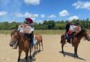 TRE-AP utiliza cavalos para transportar urnas eletrônicas até comunidade de difícil acesso no Bailique